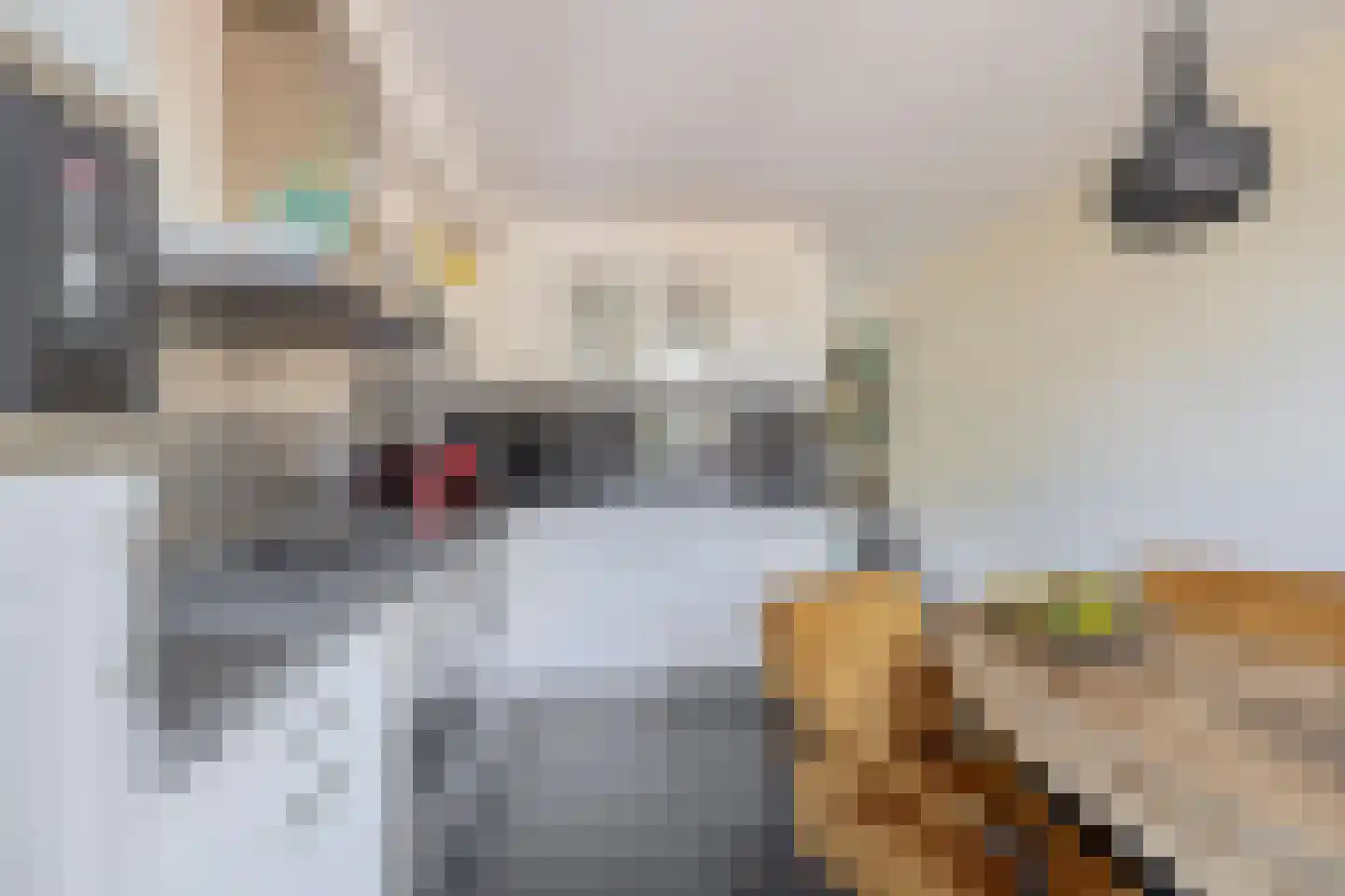C.J. Blaauwstraat 6 Assendelft thumbnail 13