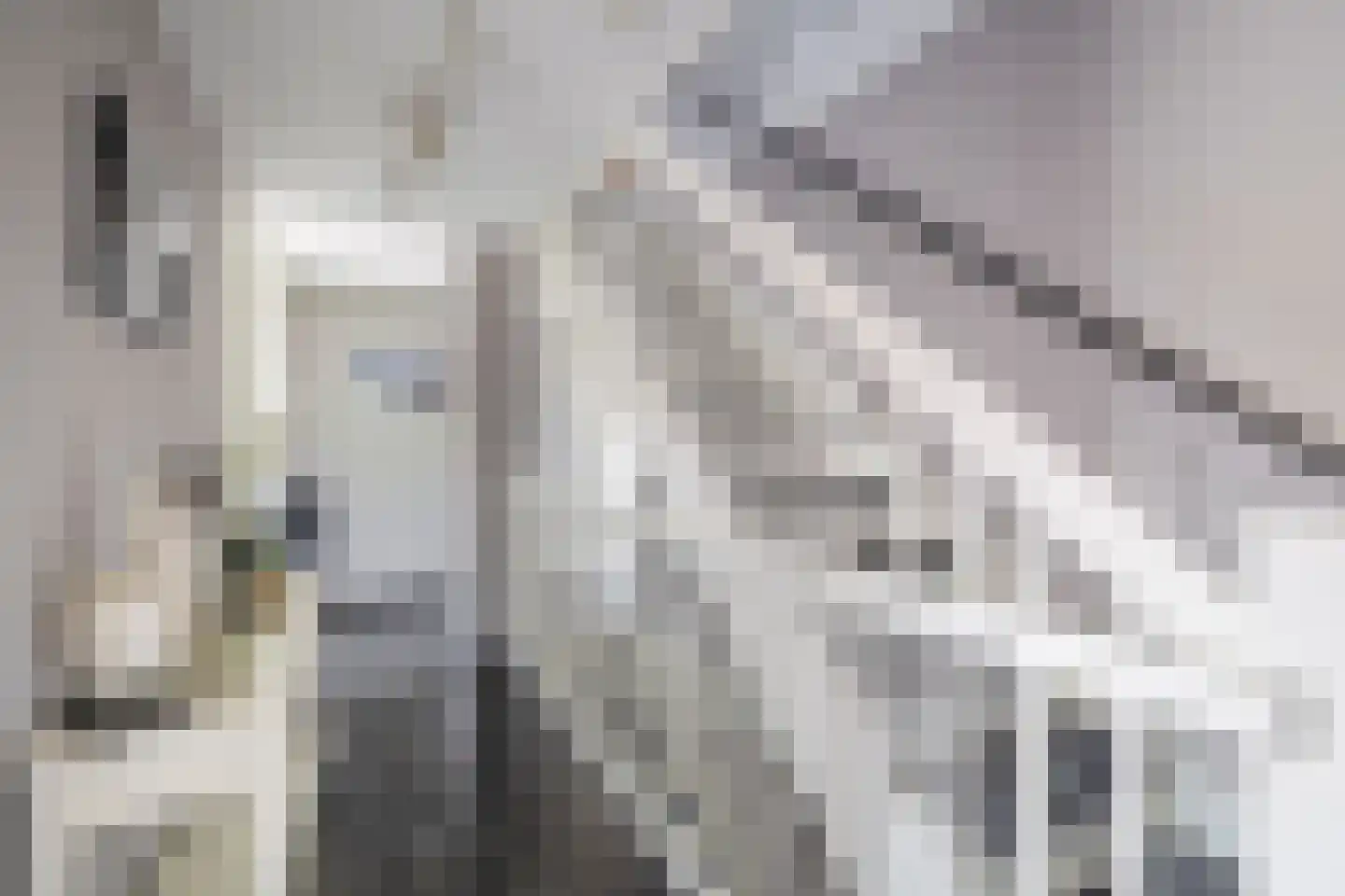C.J. Blaauwstraat 6 Assendelft thumbnail 16