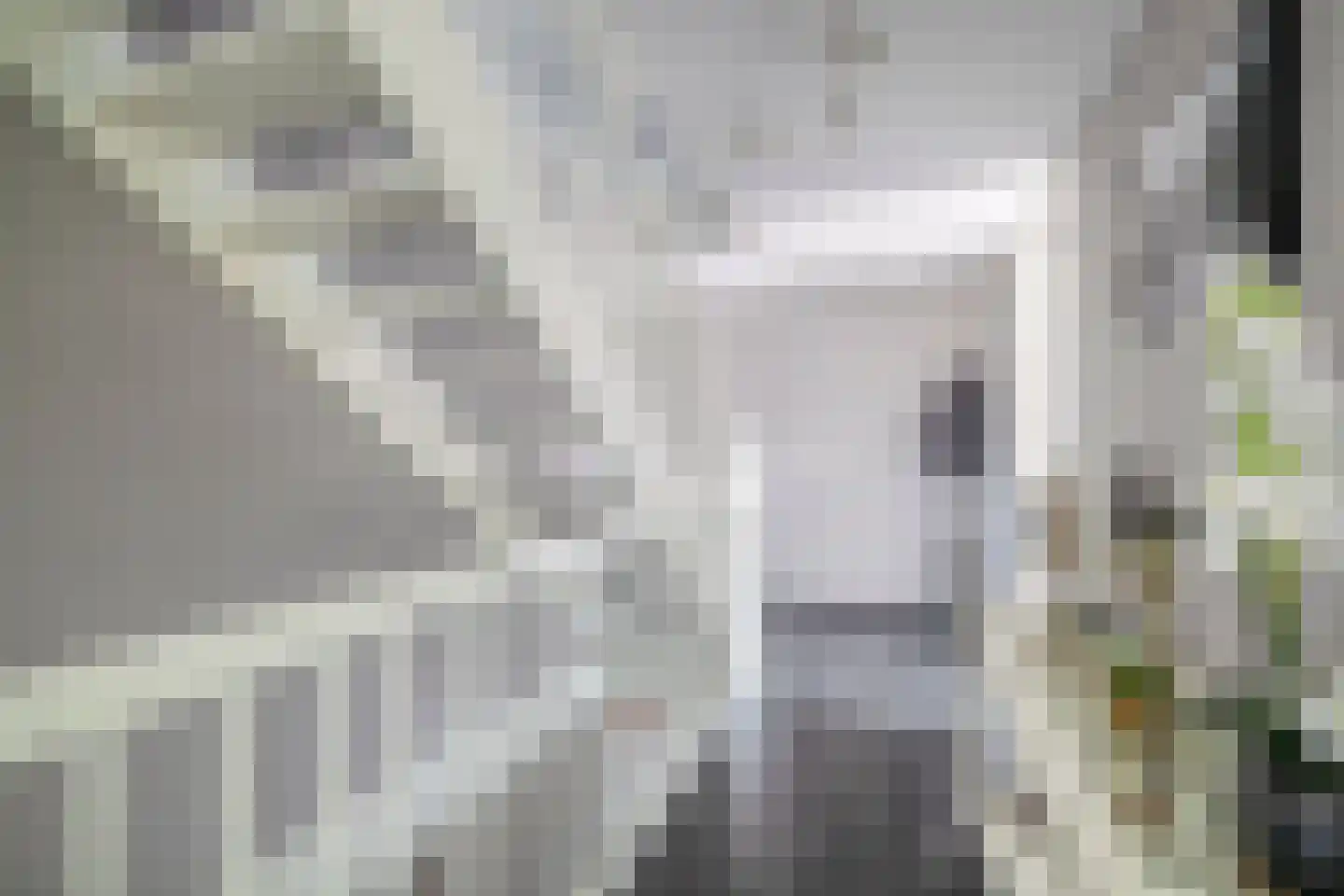 C.J. Blaauwstraat 6 Assendelft thumbnail 17