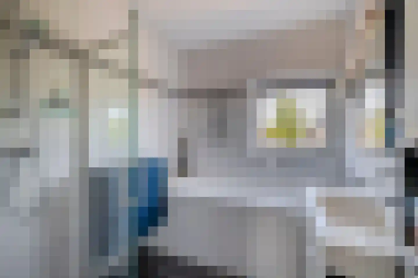 C.J. Blaauwstraat 6 Assendelft thumbnail 18