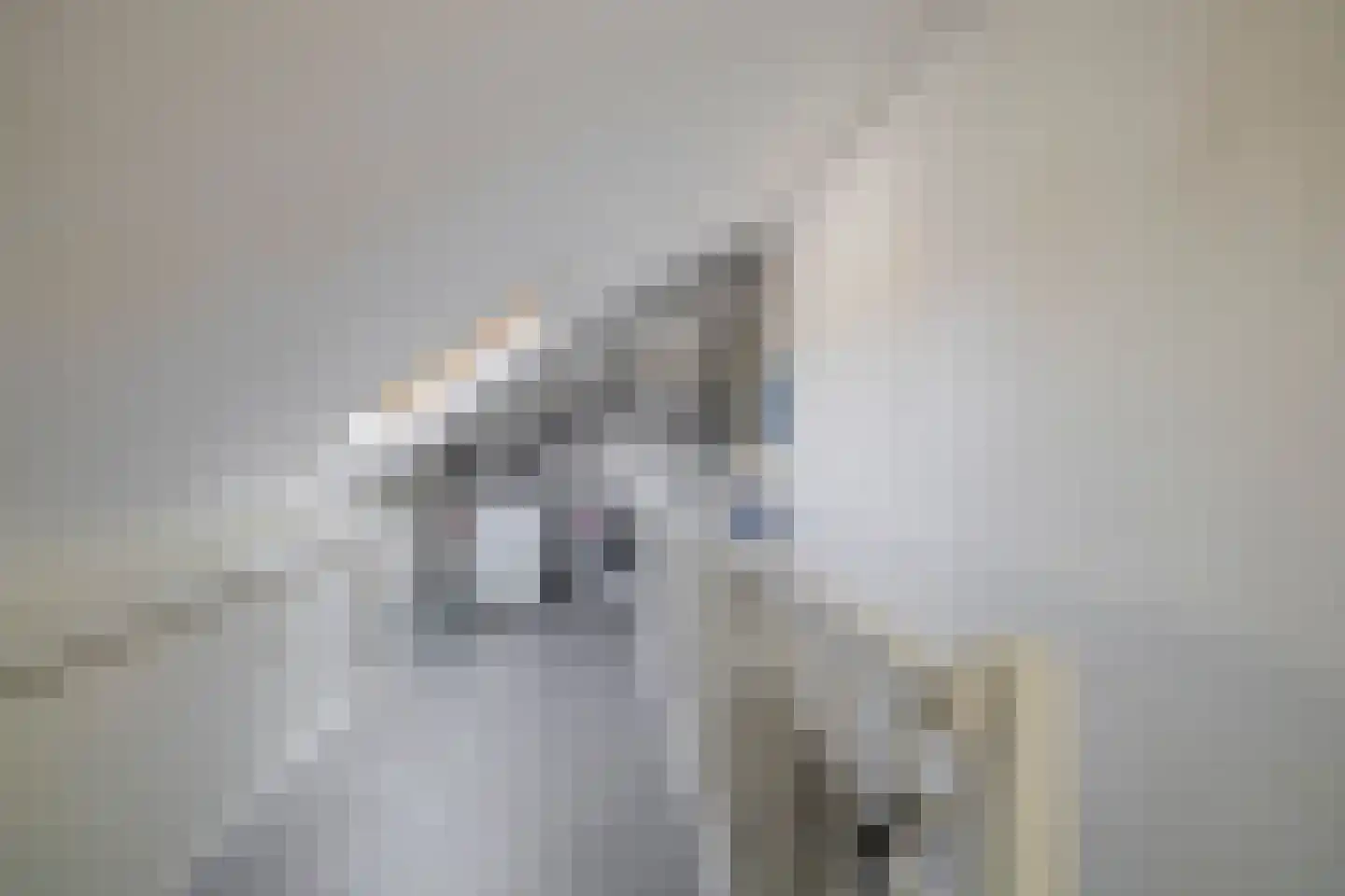 C.J. Blaauwstraat 6 Assendelft thumbnail 25