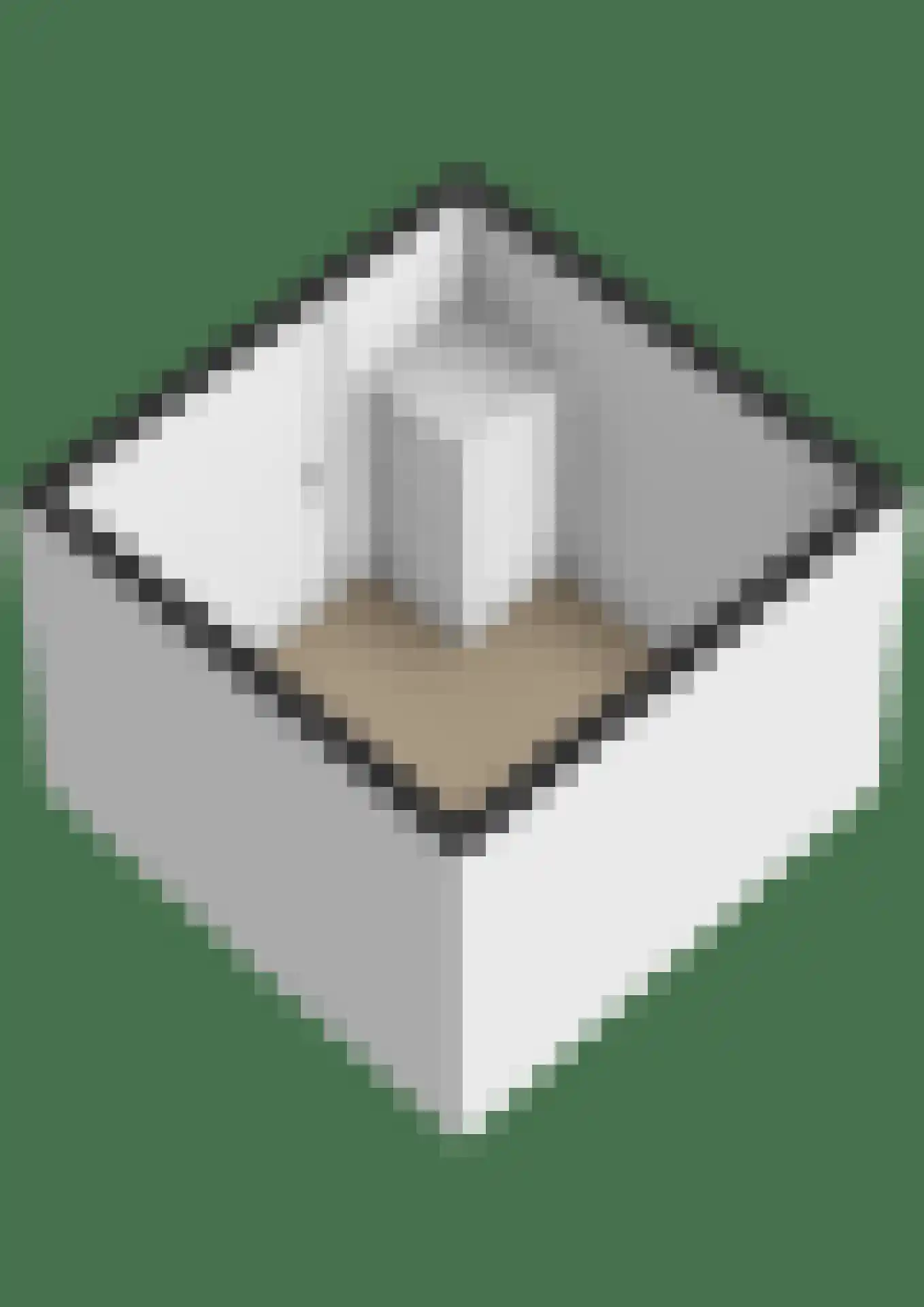 C.J. Blaauwstraat 6 Assendelft thumbnail 37