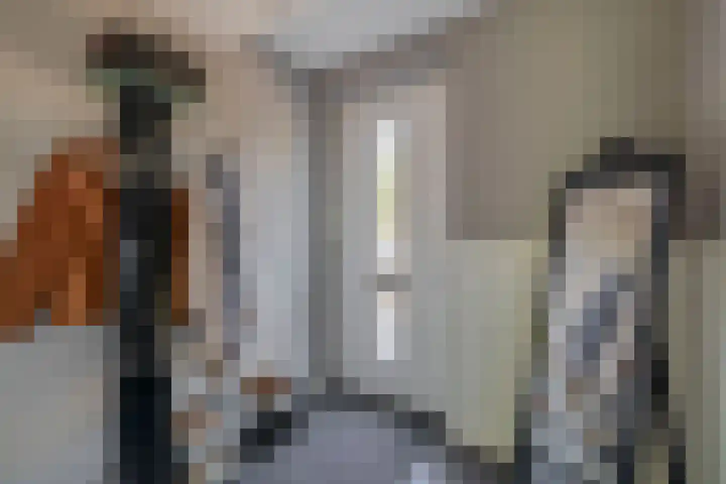 C.J. Blaauwstraat 6 Assendelft thumbnail 7