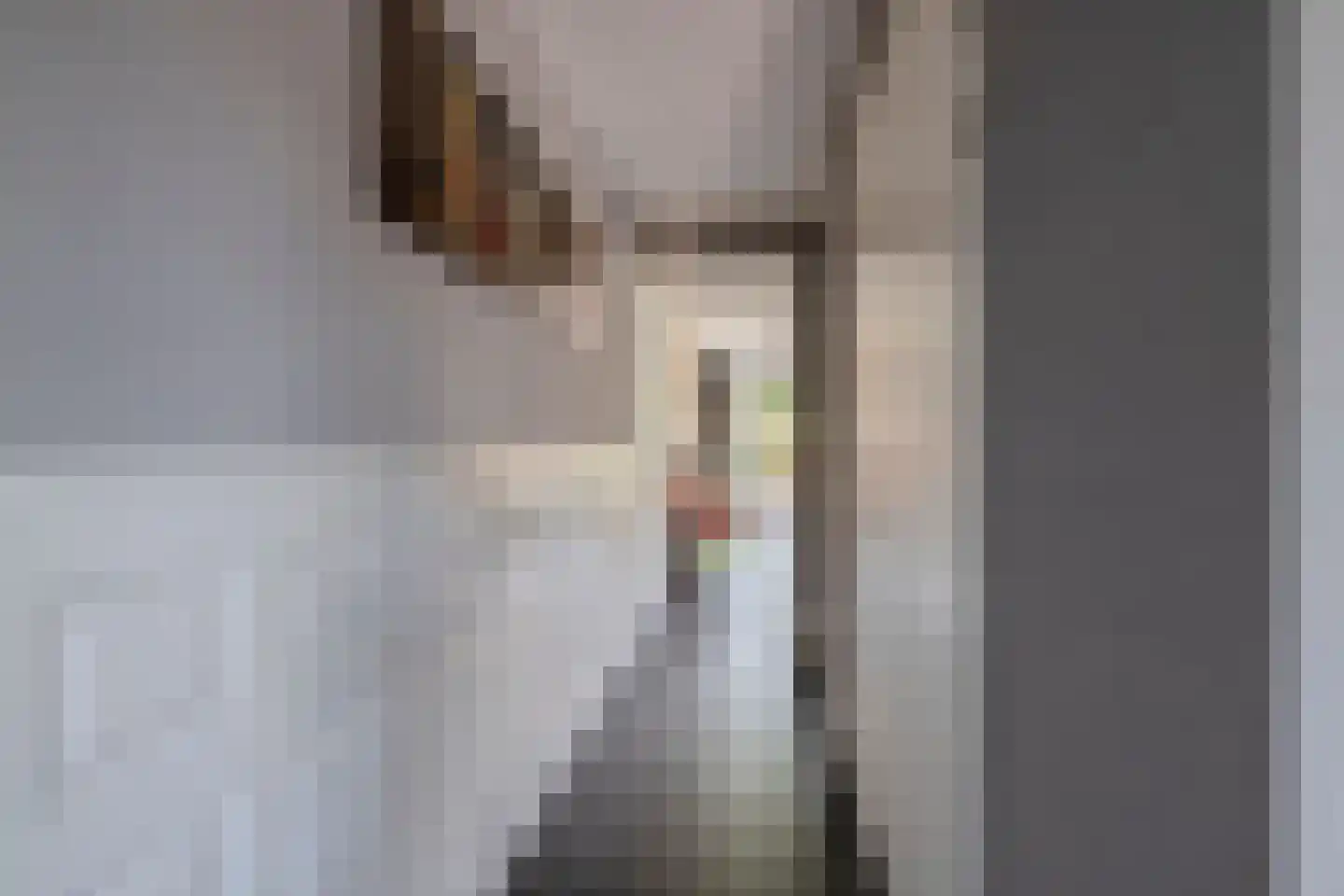 C.J. Blaauwstraat 6 Assendelft thumbnail 8