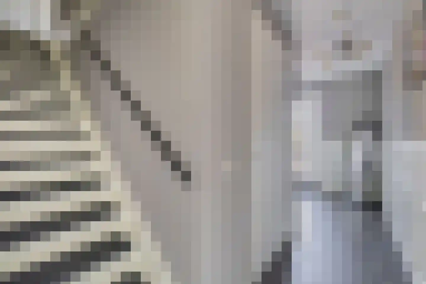 C.J. Blaauwstraat 6 Assendelft thumbnail 9