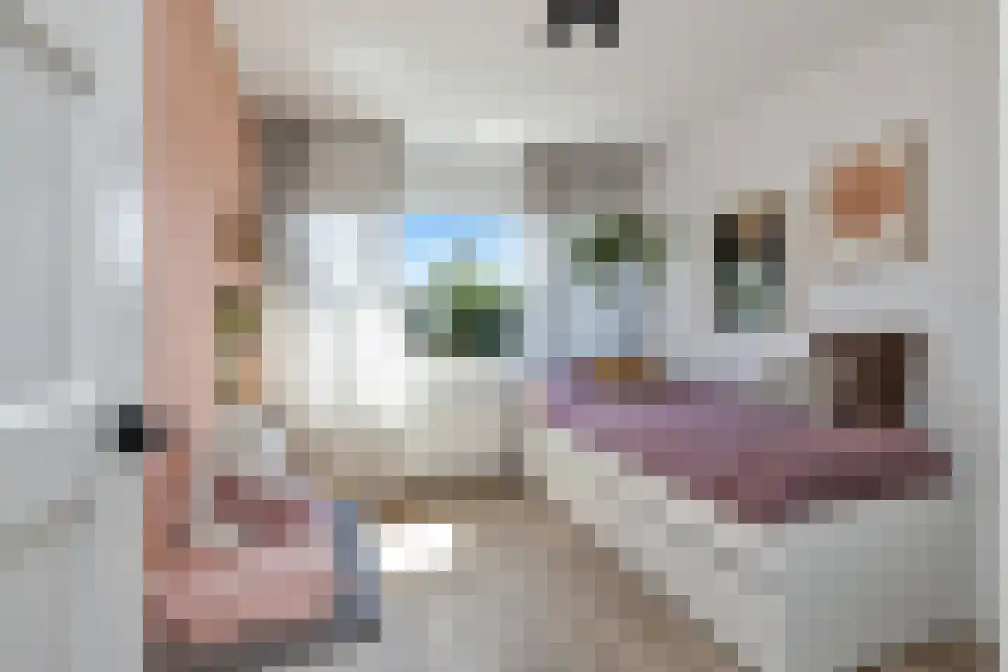 C. J. Colijnstraat 28 Breezand thumbnail 28