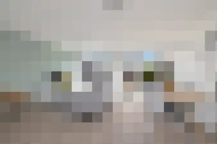 C. J. Colijnstraat 44 Breezand thumbnail 7