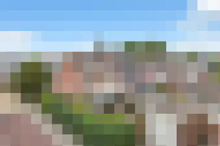 C. J. Colijnstraat 46 Breezand thumbnail 39