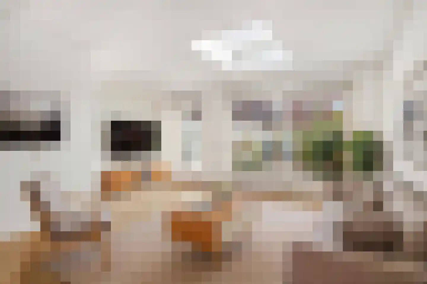 C.J. Kieviethof 14 Hoofddorp thumbnail 12