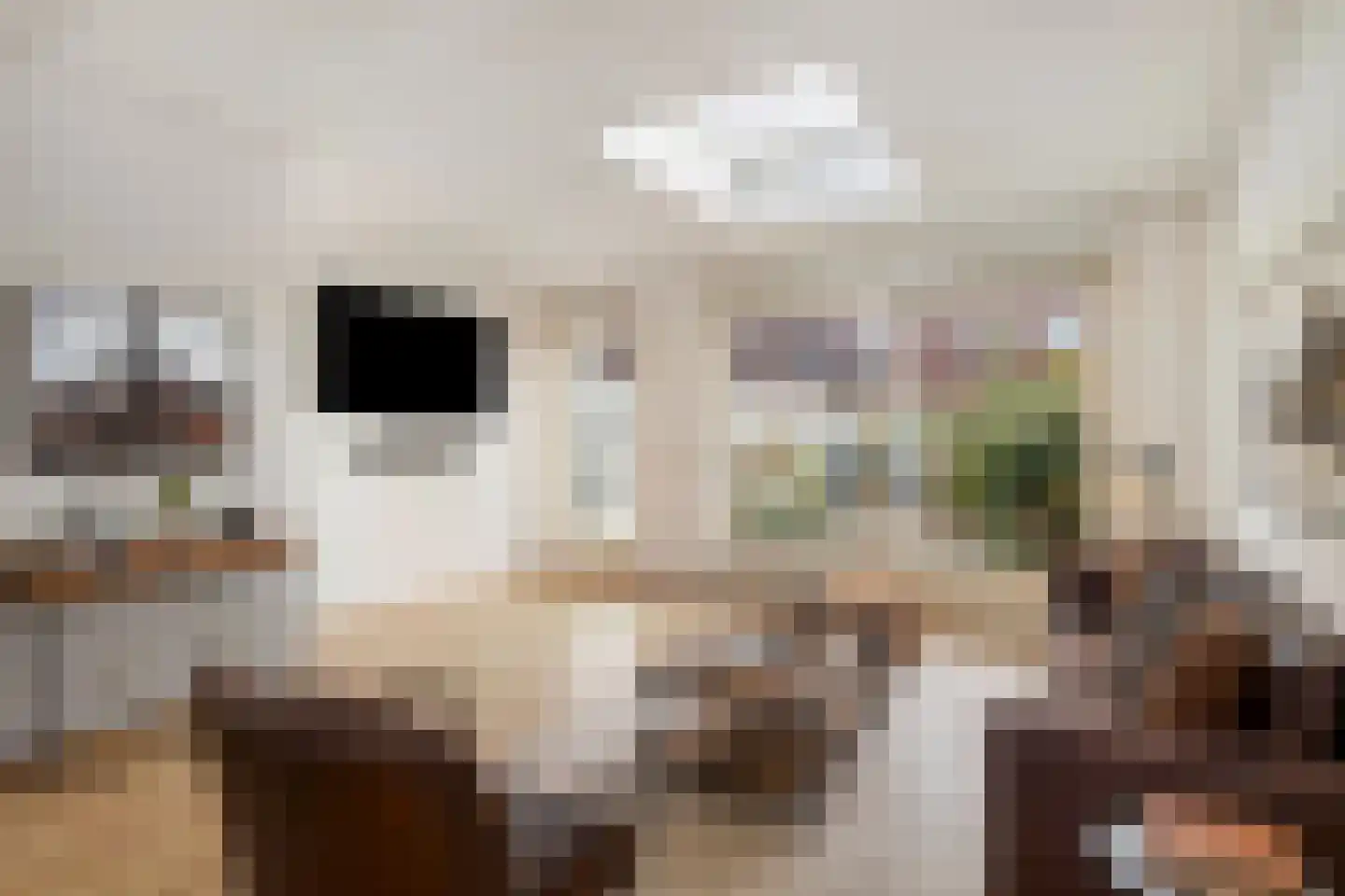 C.J. Kieviethof 14 Hoofddorp thumbnail 15