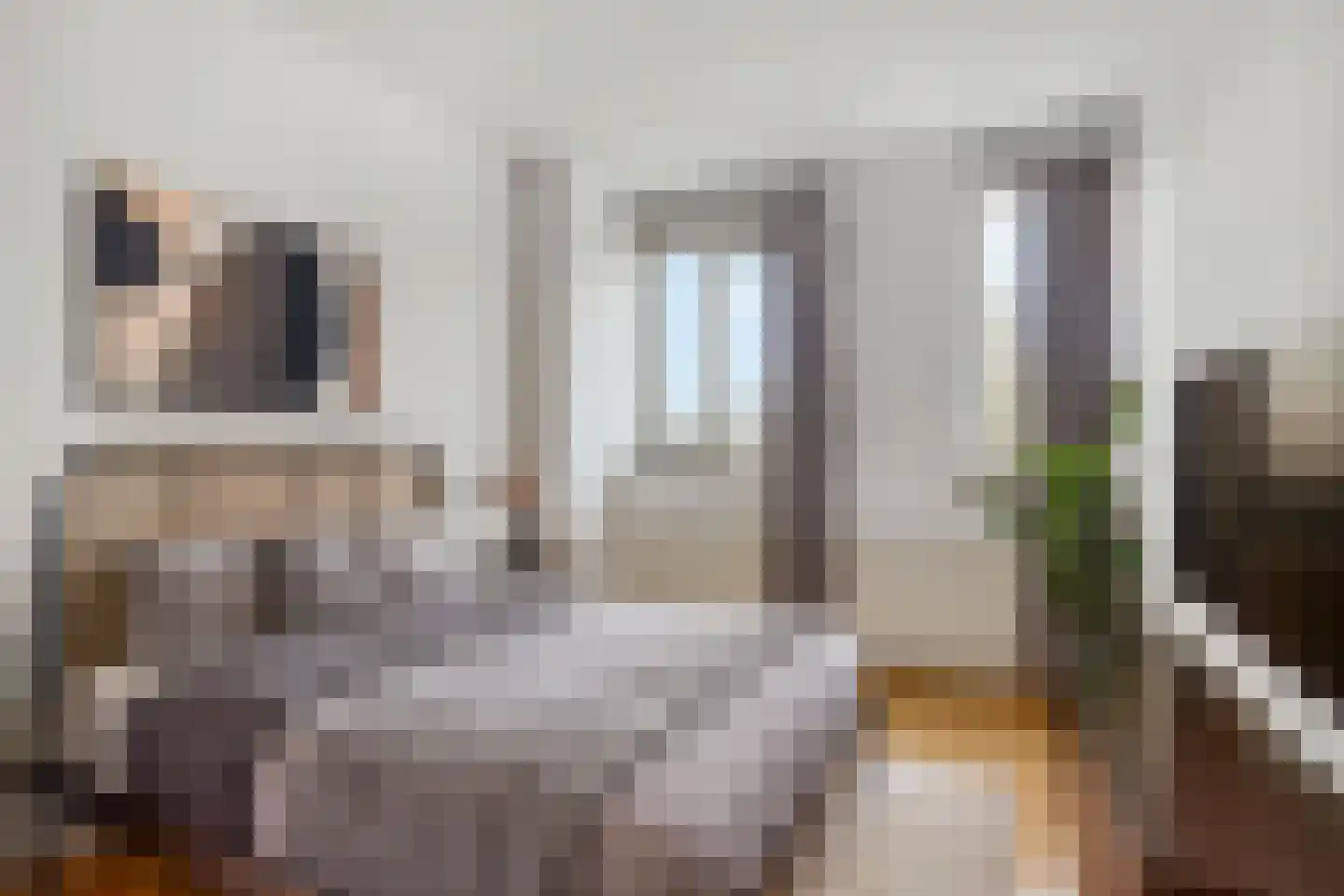 C.J. Kieviethof 14 Hoofddorp thumbnail 23