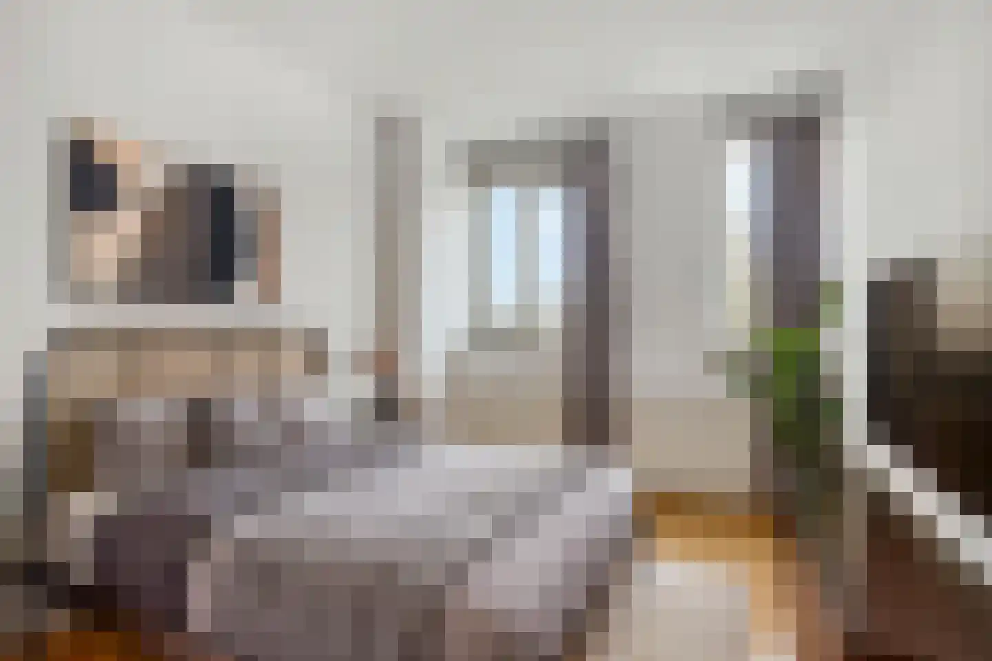 C.J. Kieviethof 14 Hoofddorp thumbnail 23