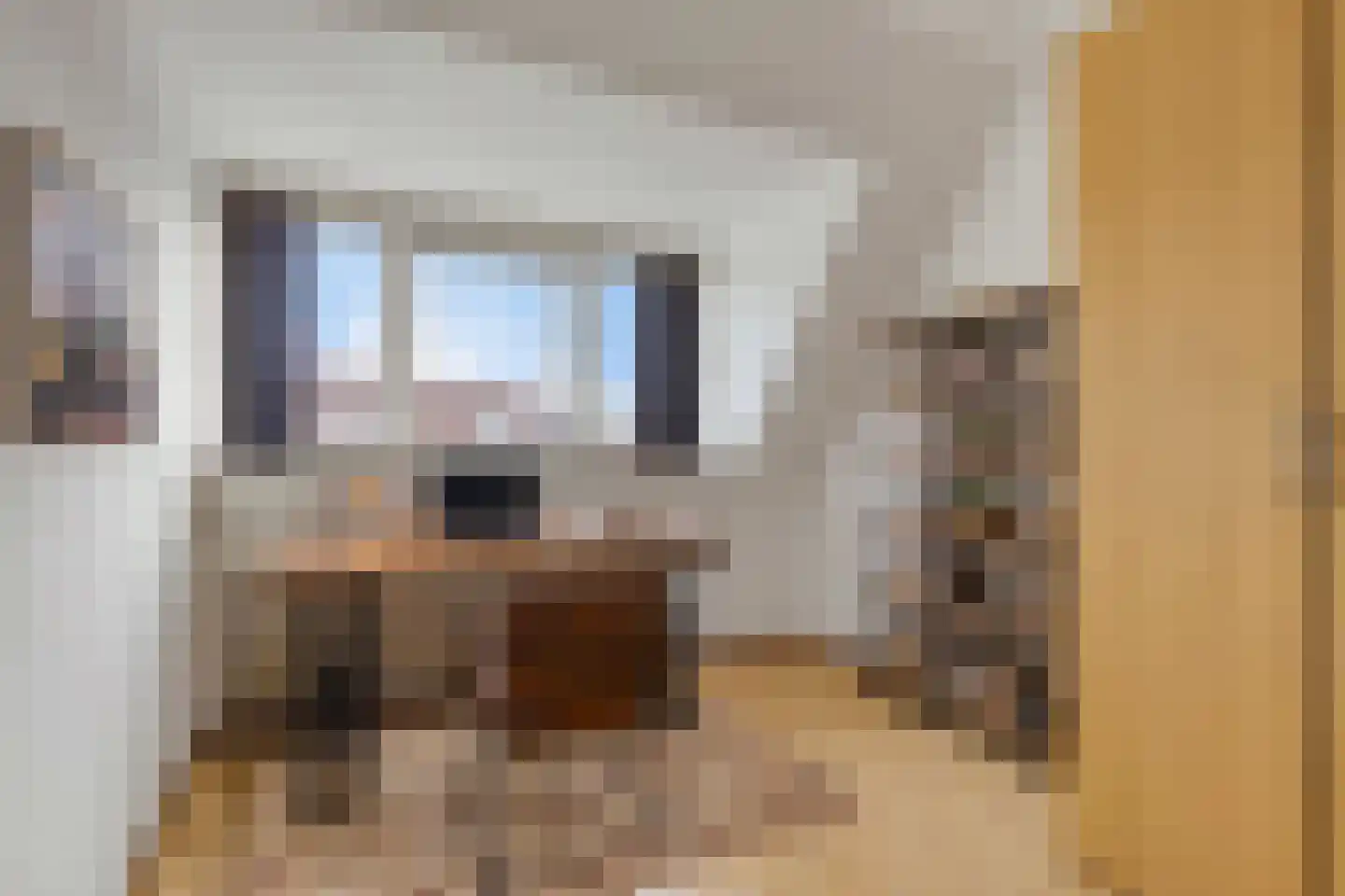 C.J. Kieviethof 14 Hoofddorp thumbnail 31
