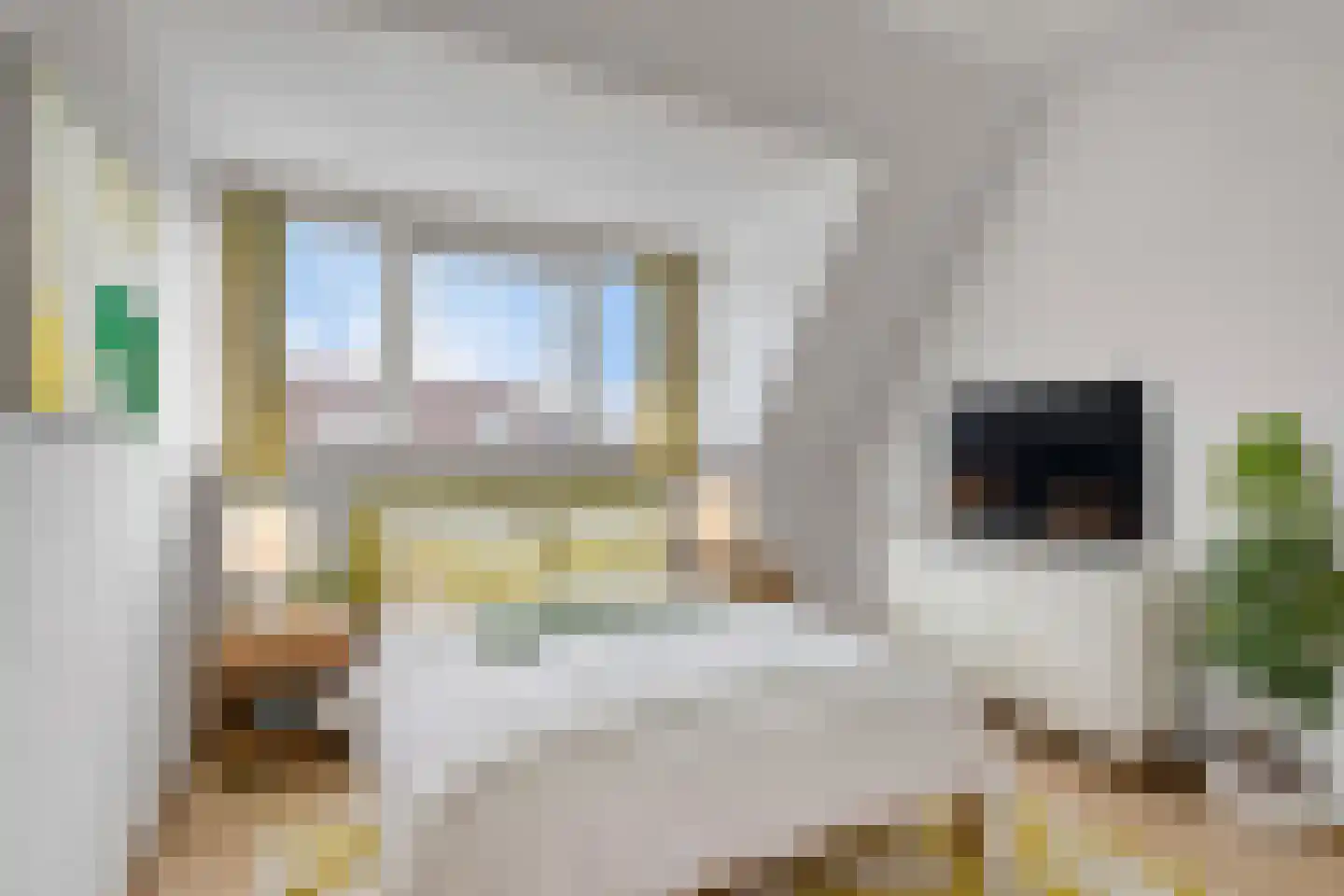 C.J. Kieviethof 14 Hoofddorp thumbnail 32