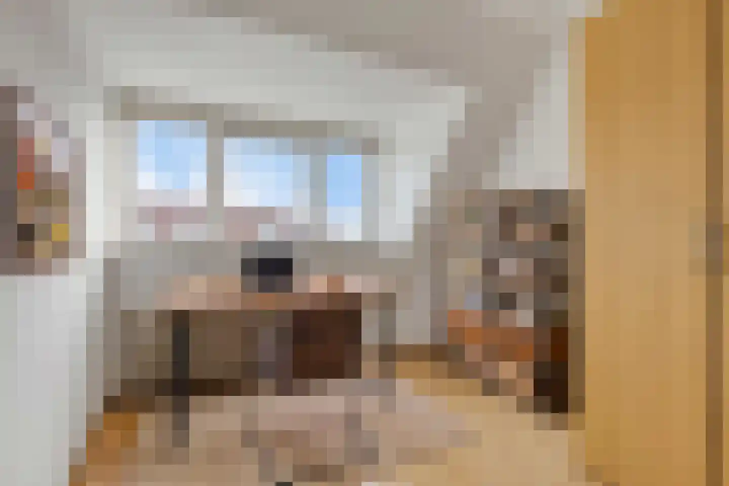 C.J. Kieviethof 14 Hoofddorp thumbnail 35