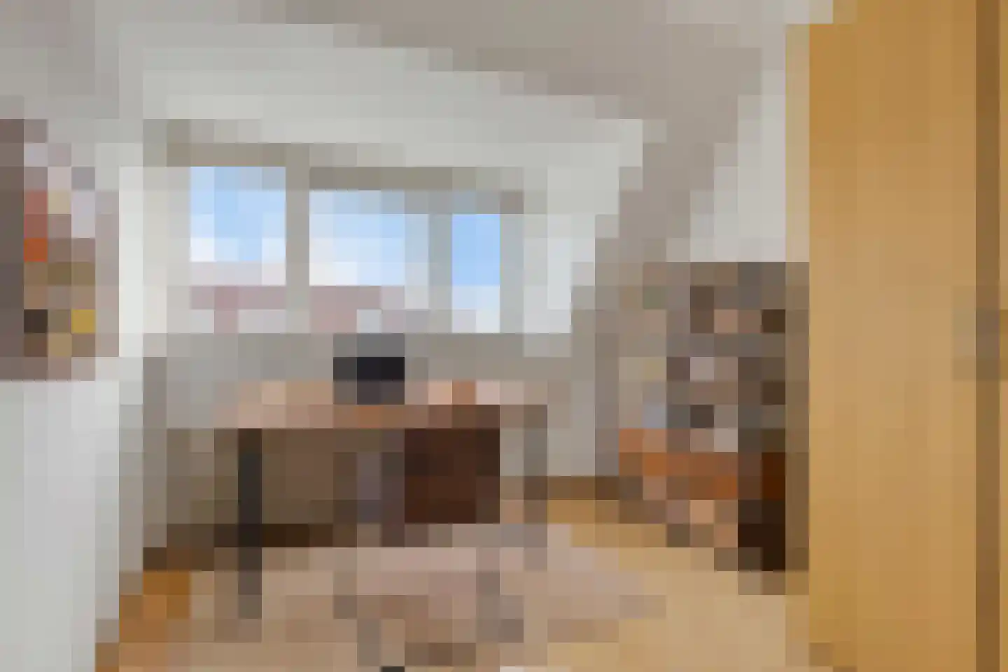 C.J. Kieviethof 14 Hoofddorp thumbnail 35