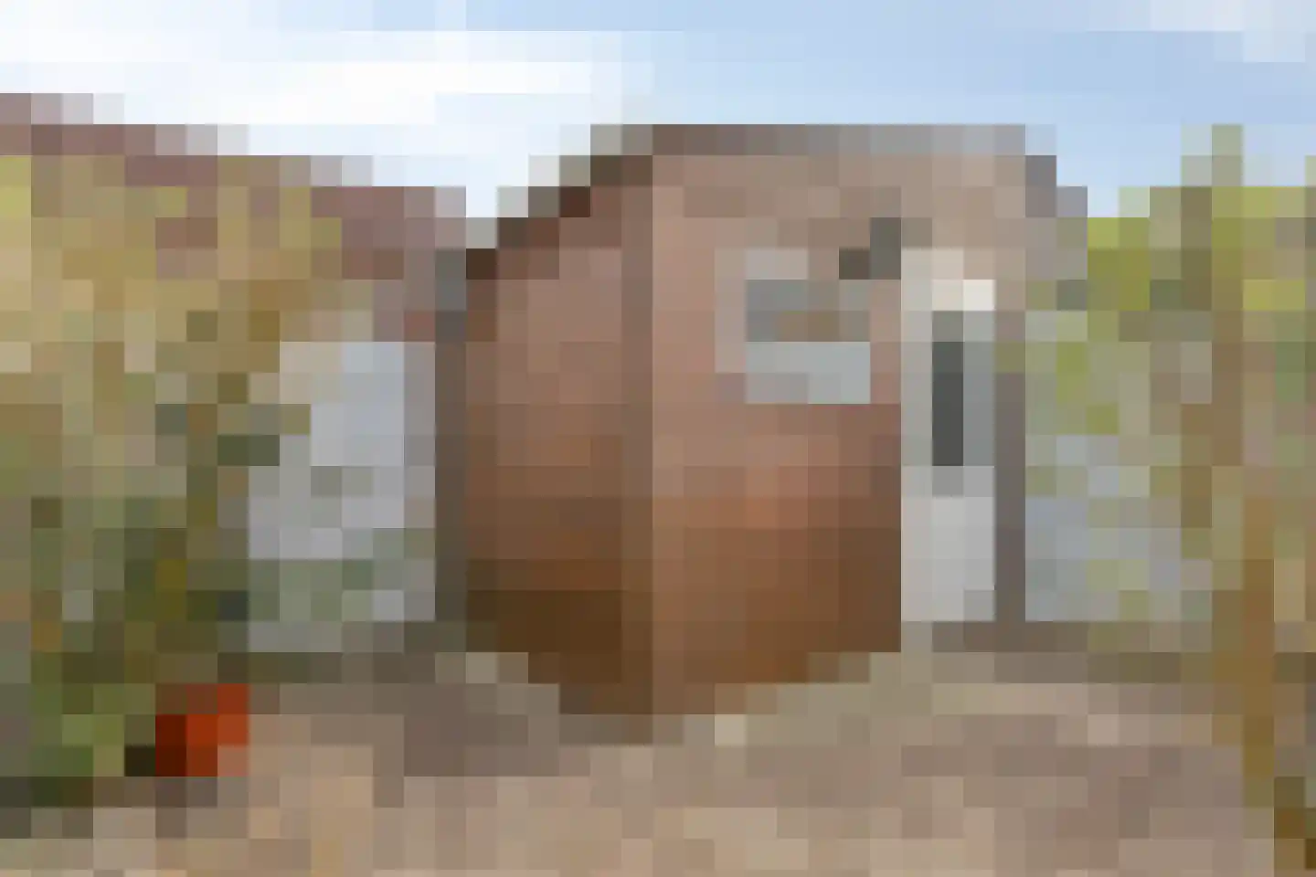 C.J. Kieviethof 14 Hoofddorp thumbnail 48