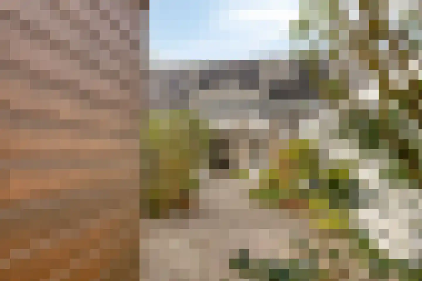 C.J. Kieviethof 14 Hoofddorp thumbnail 50
