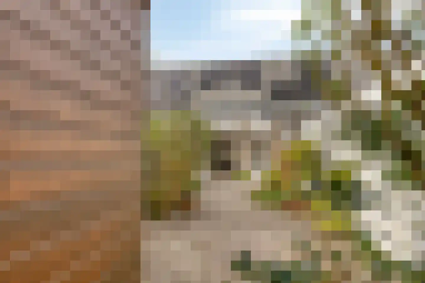 C.J. Kieviethof 14 Hoofddorp thumbnail 50