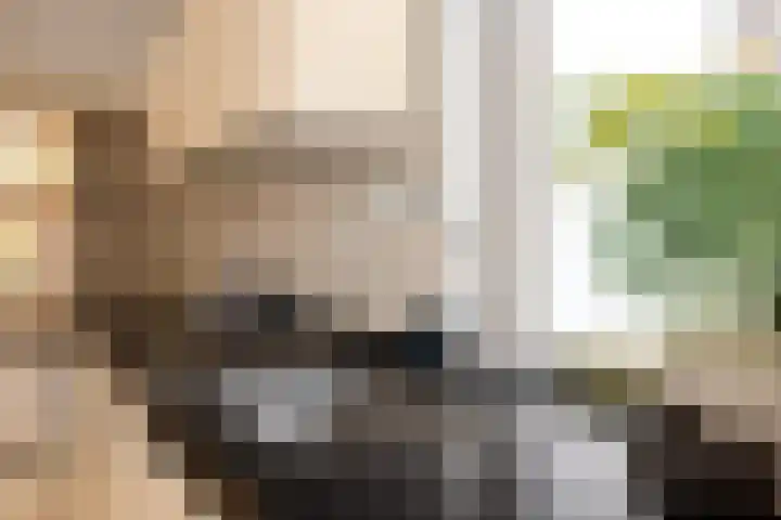 C.J. Snuifstraat 18 Enschede thumbnail 16