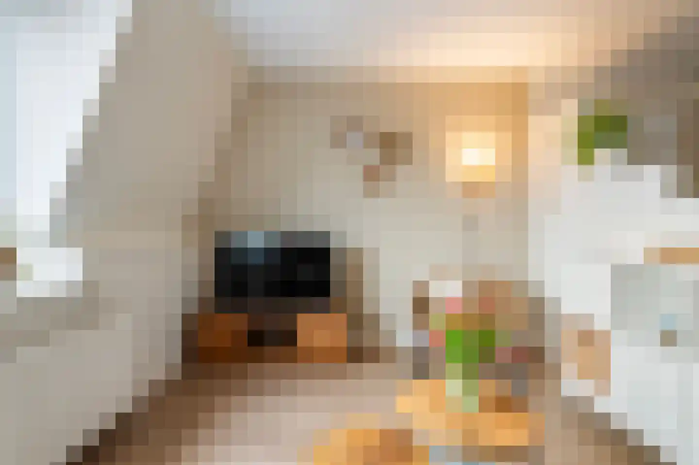 C.J. Snuifstraat 2 11 Enschede thumbnail 21