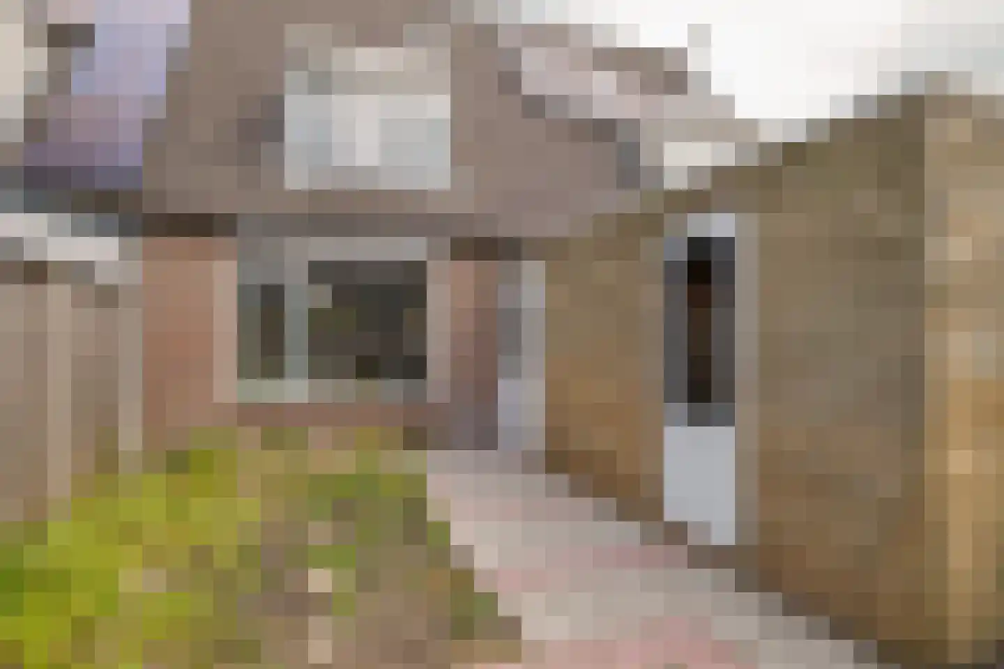 C.J. Snuifstraat 23 Enschede thumbnail 22
