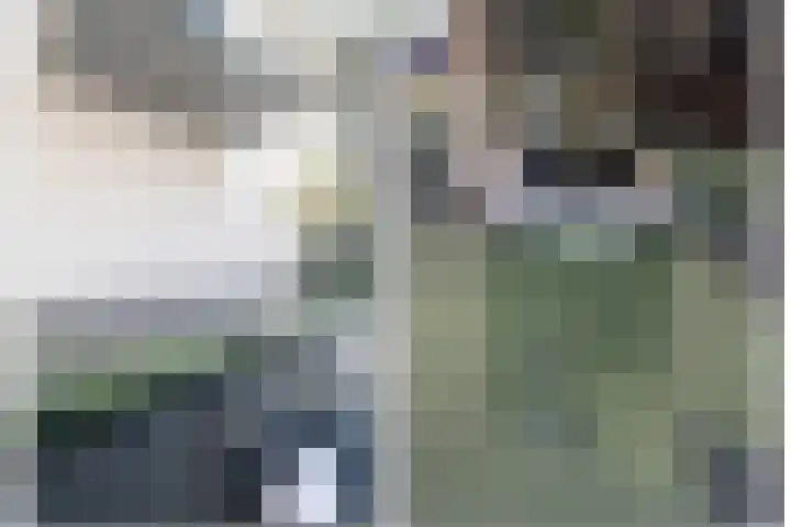 C.J.van Houtenlaan 3 Weesp thumbnail 20