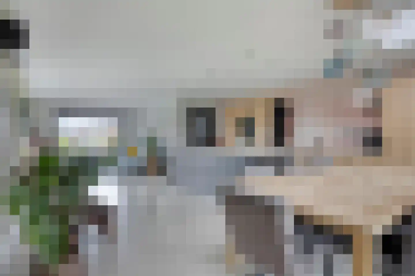 C. Keijzerlaan 13 Anna Paulowna thumbnail 22