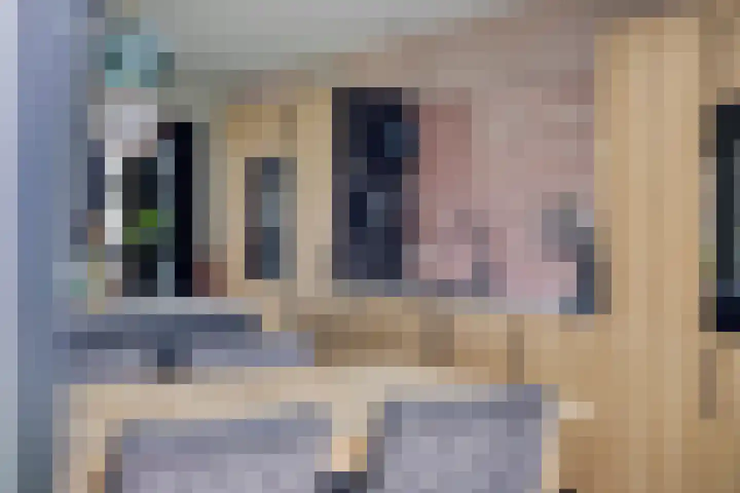 C. Keijzerlaan 13 Anna Paulowna thumbnail 29
