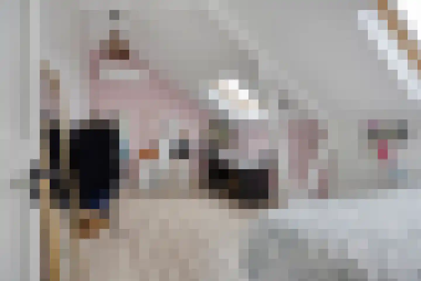 C. Keijzerlaan 13 Anna Paulowna thumbnail 40