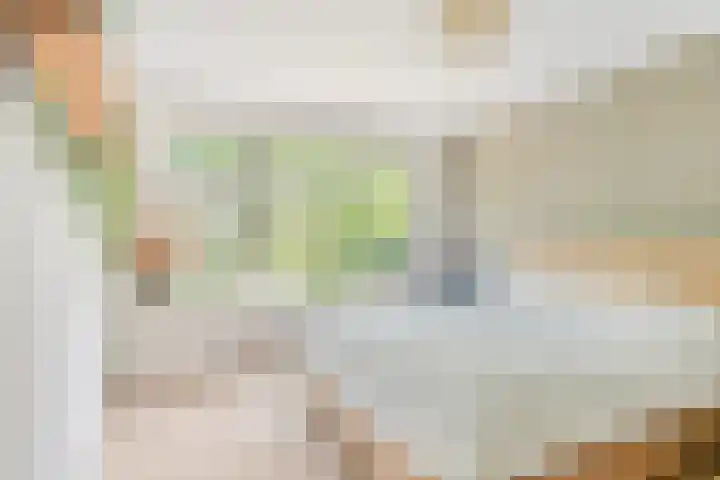 C.L. Bressersstraat 16 Dongen thumbnail 16
