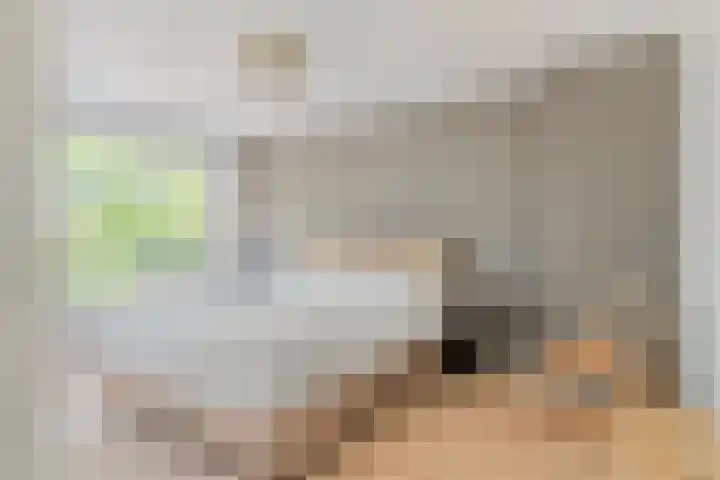 C.L. Bressersstraat 16 Dongen thumbnail 4