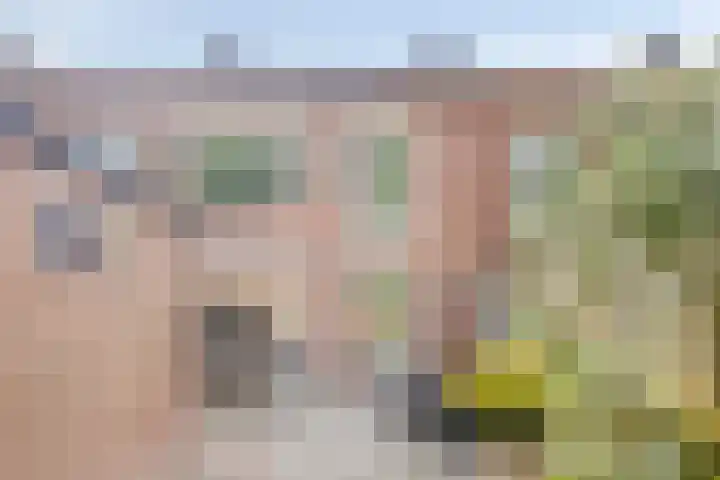 C.L. Bressersstraat 16 Dongen thumbnail 6