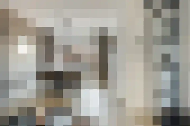 C.L. Bressersstraat 25 Dongen thumbnail 11