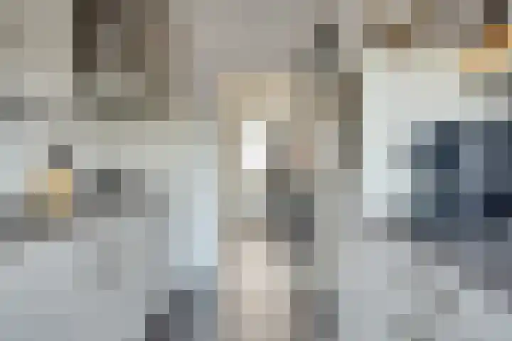 C.L. Bressersstraat 25 Dongen thumbnail 14
