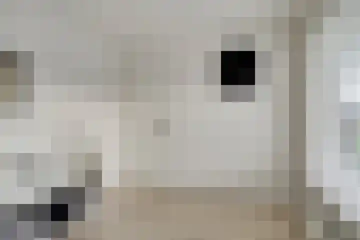 C.L. Bressersstraat 25 Dongen thumbnail 18