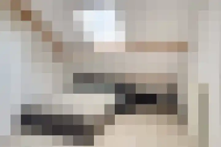 C.L. Bressersstraat 25 Dongen thumbnail 20