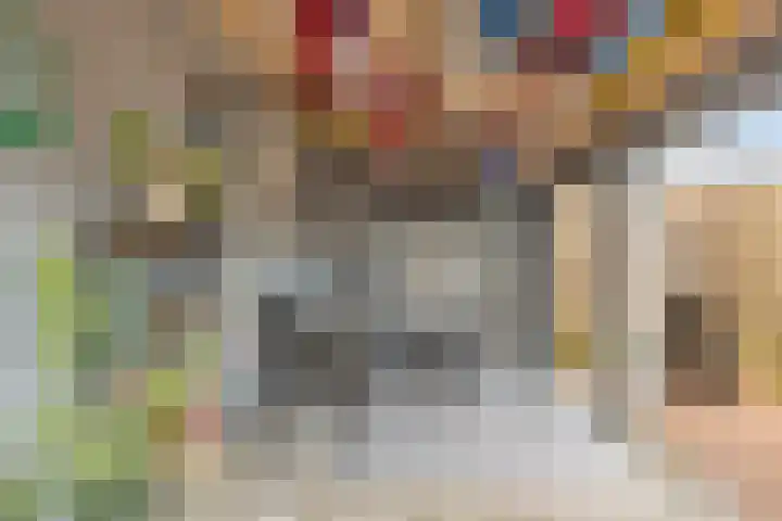 C.L. Bressersstraat 25 Dongen thumbnail 23