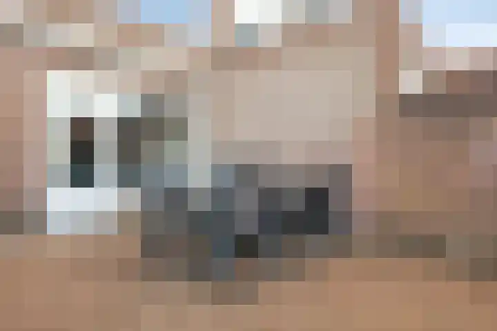 C.L. Bressersstraat 25 Dongen thumbnail 24