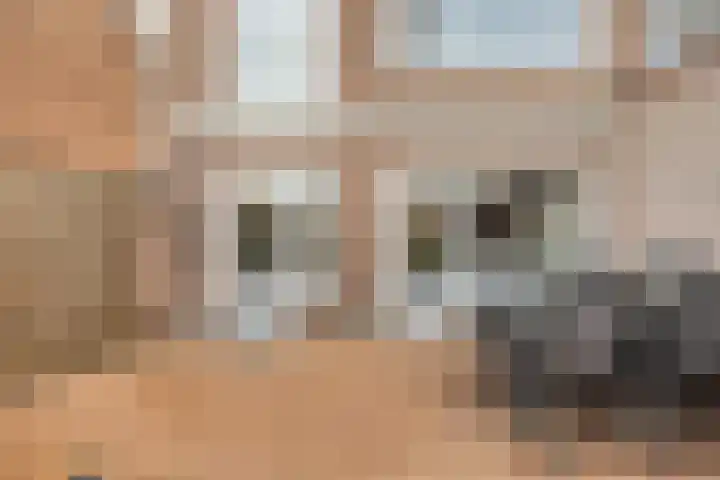 C.L. Bressersstraat 25 Dongen thumbnail 25