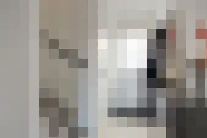 C.L. Bressersstraat 25 Dongen thumbnail 9