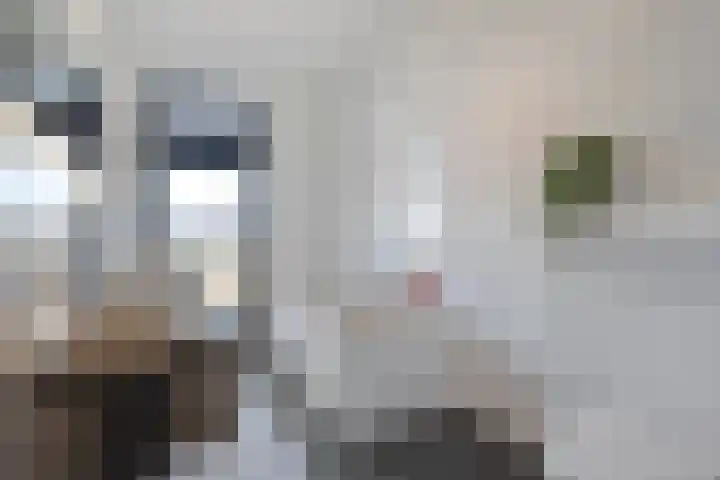 C Lelystraat 6 Franeker thumbnail 34
