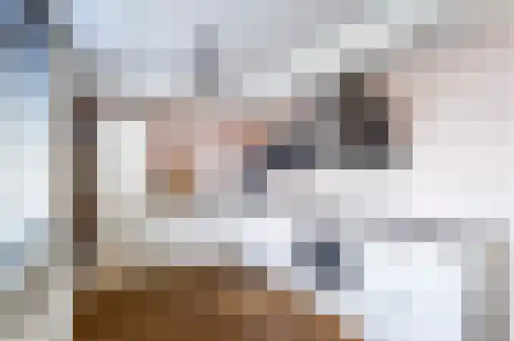C Lelystraat 6 Franeker thumbnail 7