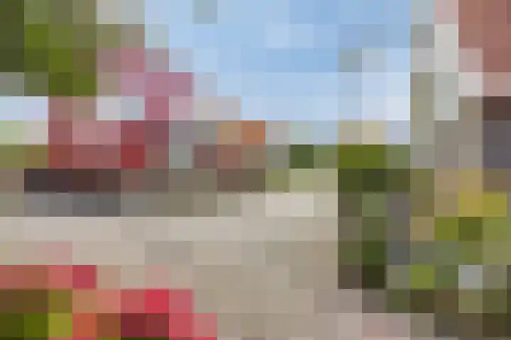 C. Liefhebberstraat 2 Kolhorn thumbnail 10