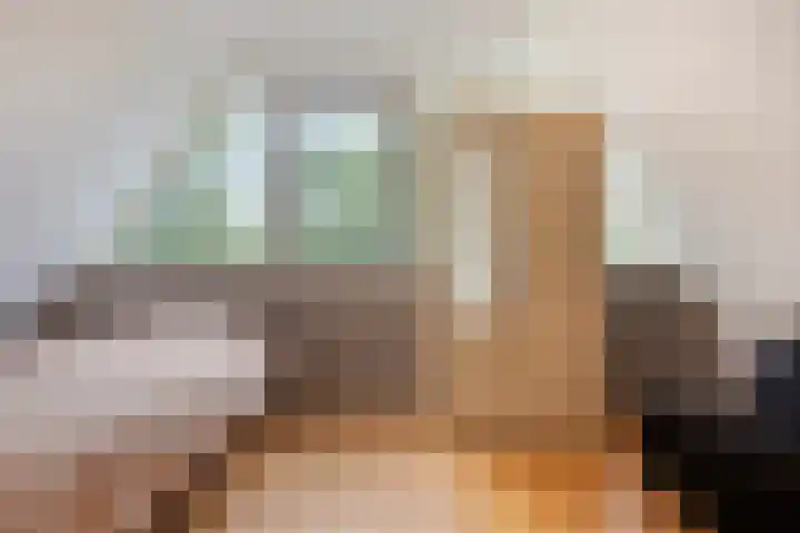 C. Liefhebberstraat 2 Kolhorn thumbnail 22