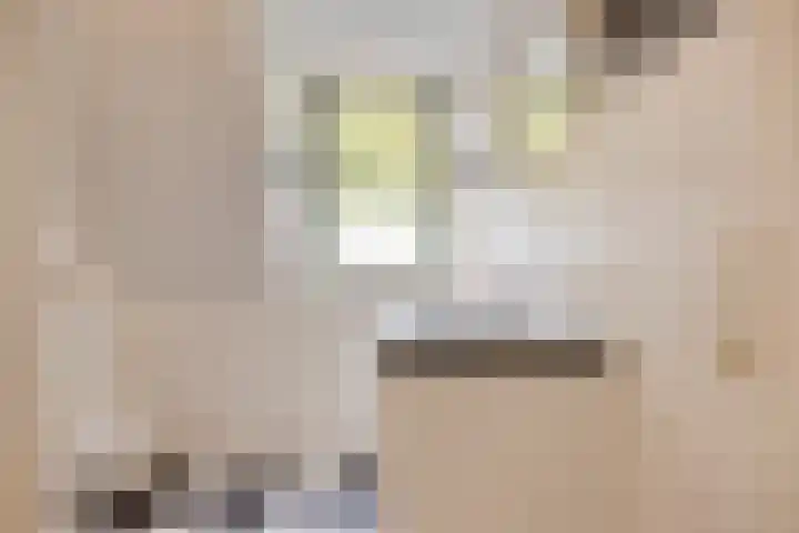 C. Liefhebberstraat 2 Kolhorn thumbnail 27