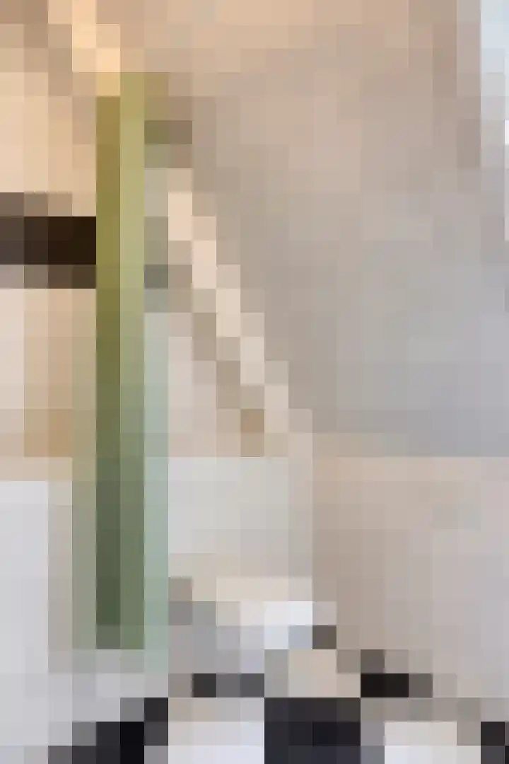 C. Liefhebberstraat 2 Kolhorn thumbnail 29