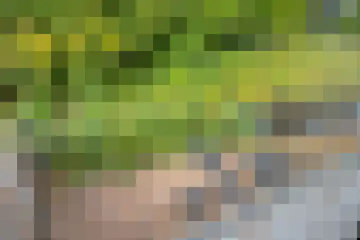 C. Liefhebberstraat 2 Kolhorn thumbnail 30