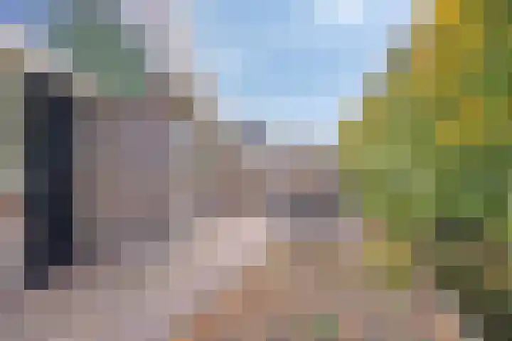 C. Liefhebberstraat 2 Kolhorn thumbnail 31
