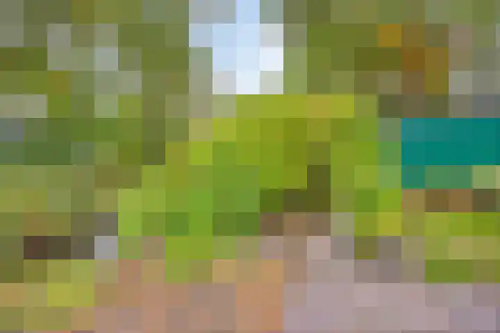 C. Liefhebberstraat 2 Kolhorn thumbnail 32